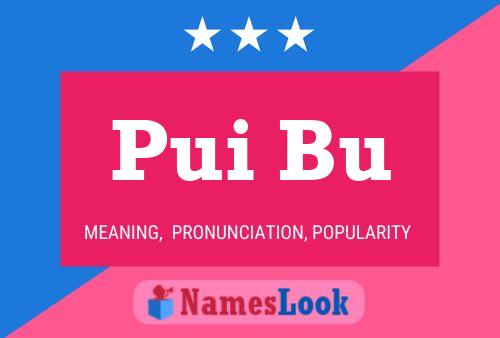 Pui Bu Name Poster