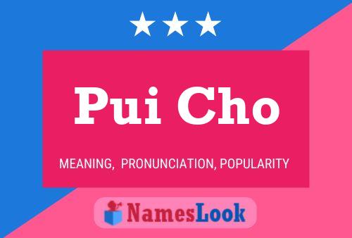 Pui Cho Name Poster