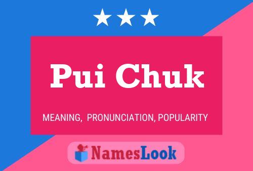 Pui Chuk Name Poster