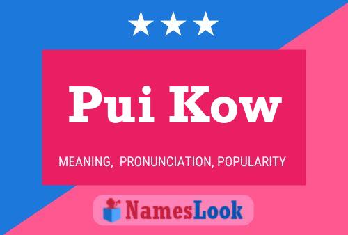 Pui Kow Name Poster