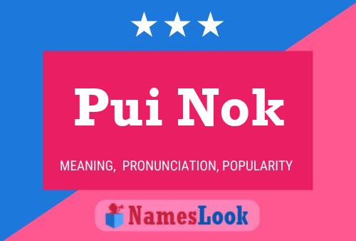 Pui Nok Name Poster