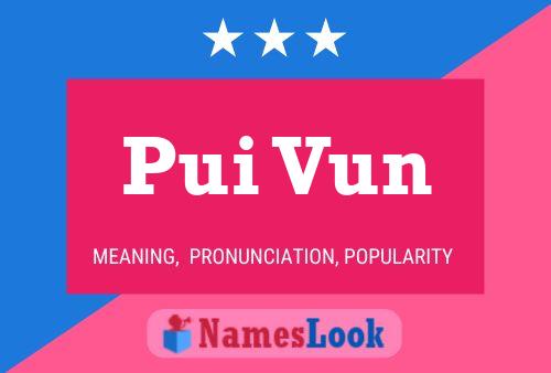 Pui Vun Name Poster