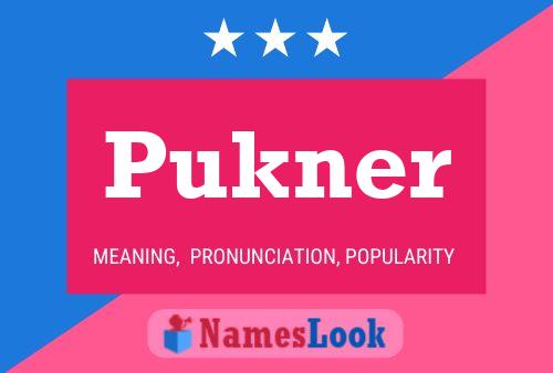 Pukner Name Poster