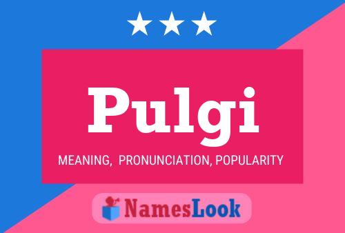 Pulgi Name Poster