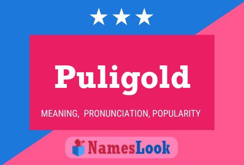 Puligold Name Poster