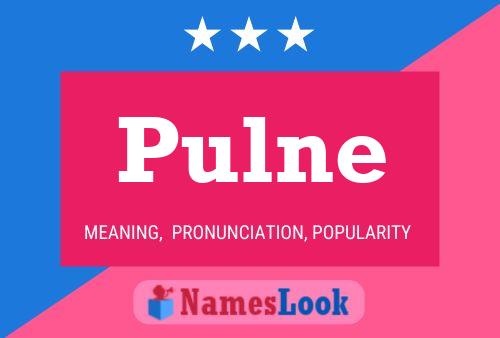 Pulne Name Poster