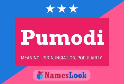 Pumodi Name Poster