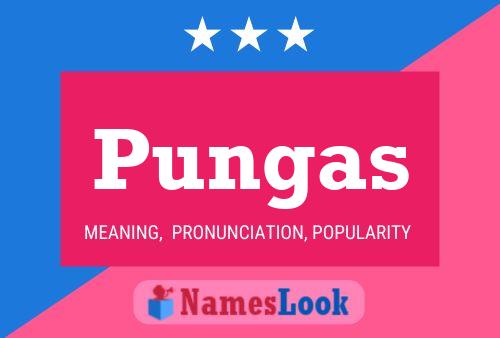 Pungas Name Poster