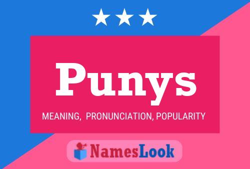 Punys Name Poster