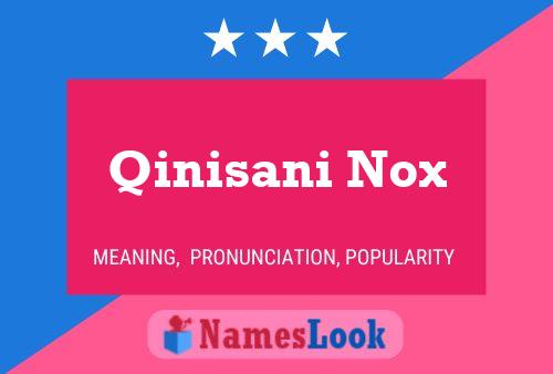 Qinisani Nox Name Poster