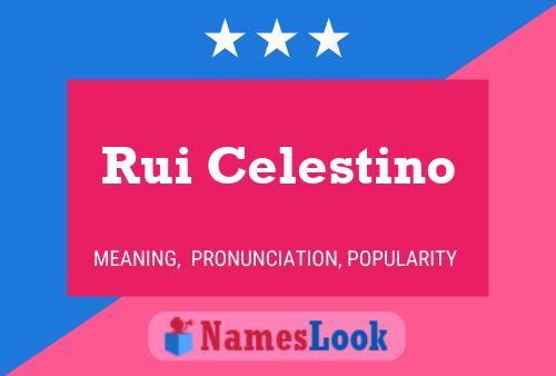 Rui Celestino Name Poster