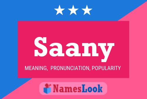 Saany Name Poster