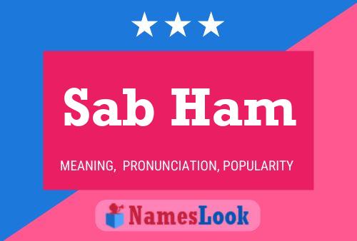 Sab Ham Name Poster