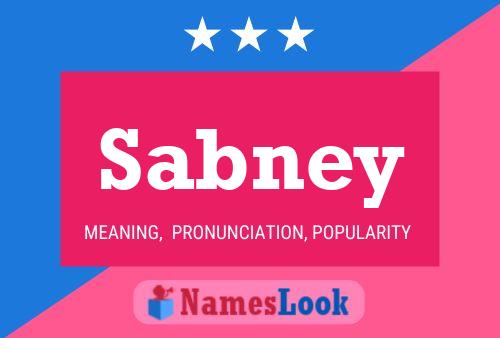 Sabney Name Poster