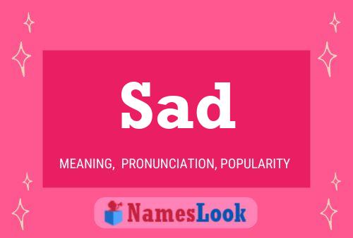 Sad Meaning Pronunciation Origin And Numerology Nameslook