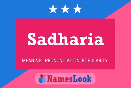 Sadharia Name Poster