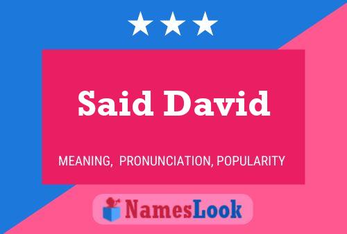 Said David Name Poster