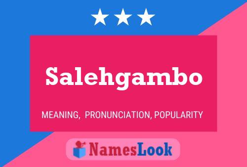 Salehgambo Name Poster