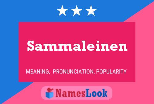 Sammaleinen Name Poster