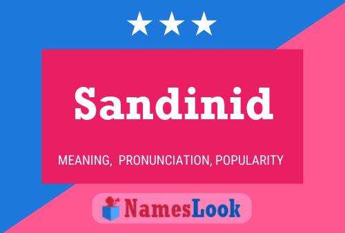 Sandinid Name Poster