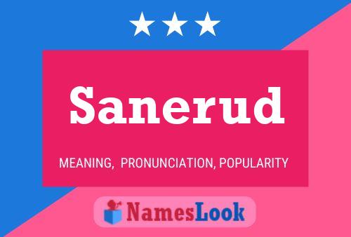 Sanerud Name Poster