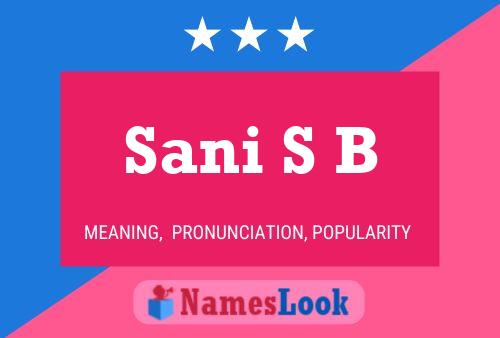 Sani S B Name Poster