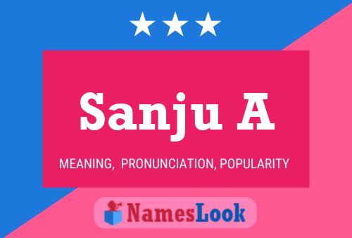 Sanju A Name Poster