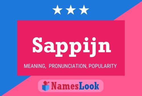 Sappijn Name Poster