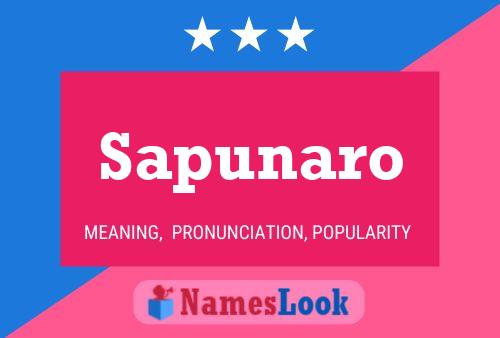 Sapunaro Name Poster