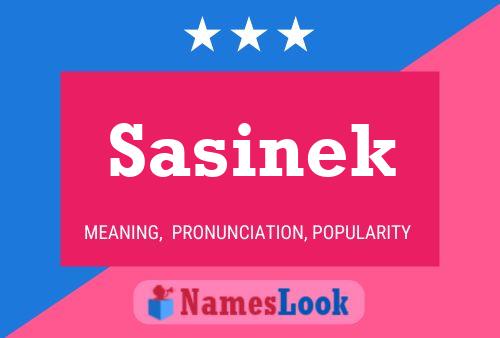 Sasinek Name Poster