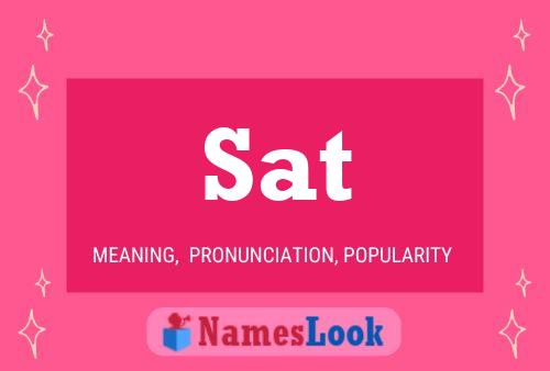 Sat Meaning Pronunciation Origin And Numerology Nameslook