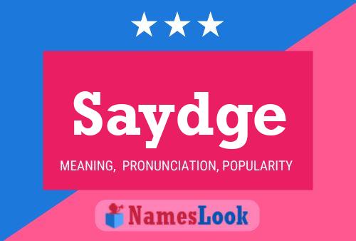 Saydge Name Poster