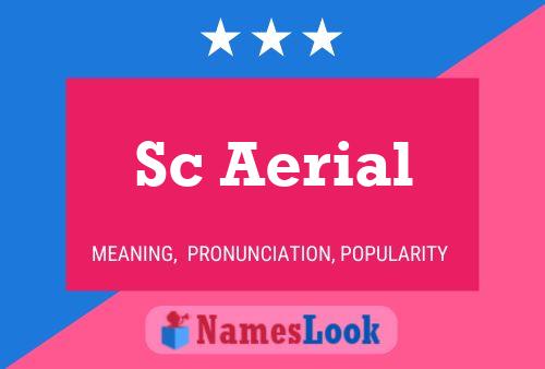 Sc Aerial Name Poster