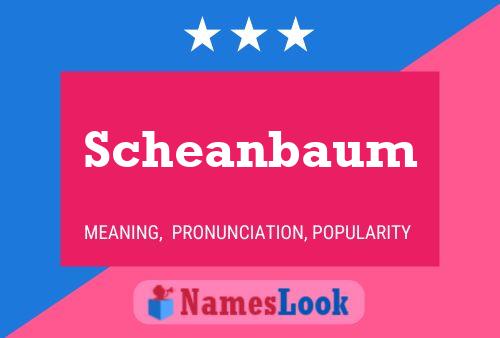 Scheanbaum Name Poster