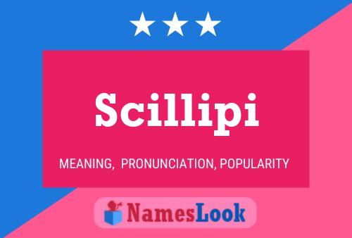 Scillipi Name Poster