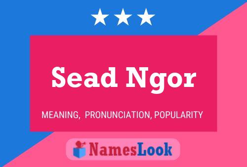 Sead Ngor Name Poster