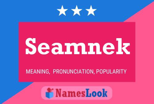 Seamnek Name Poster