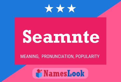 Seamnte Name Poster