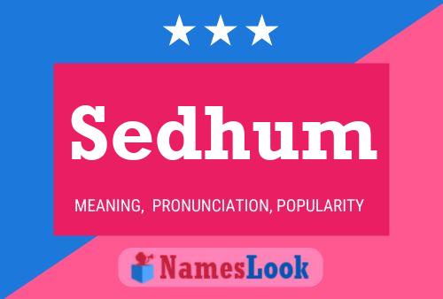 Sedhum Name Poster