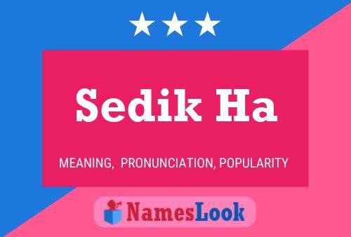 Sedik Ha Name Poster