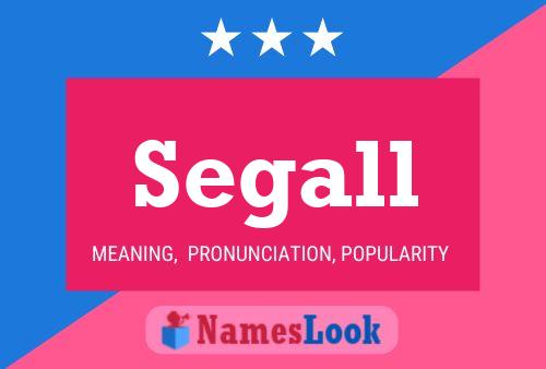 Segall Name Poster