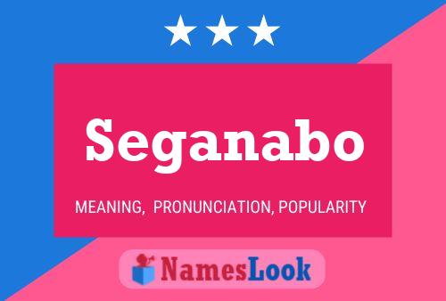 Seganabo Name Poster