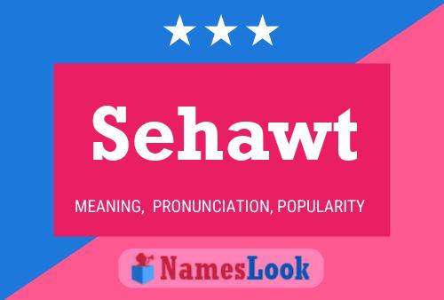 Sehawt Name Poster