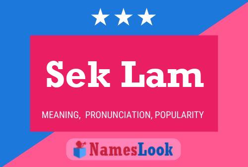 Sek Lam Name Poster