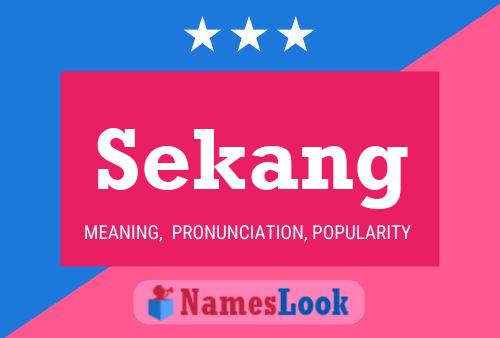 Sekang Name Poster