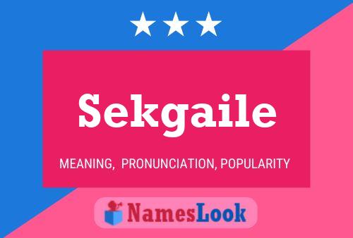 Sekgaile Name Poster