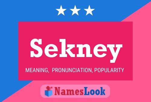 Sekney Name Poster