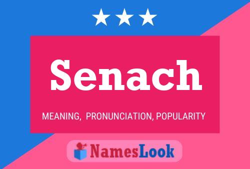 Senach Name Poster