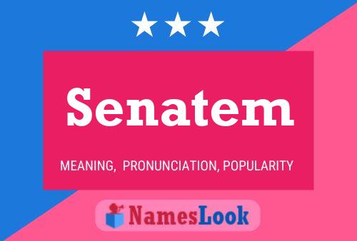 Senatem Name Poster