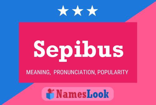 Sepibus Name Poster